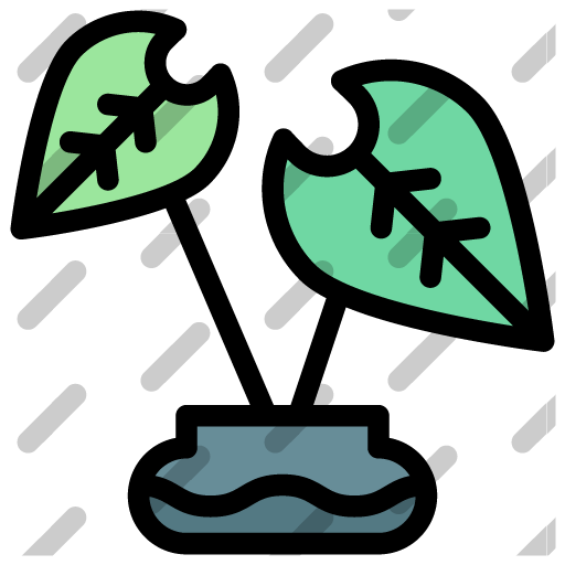 rubber plant icon