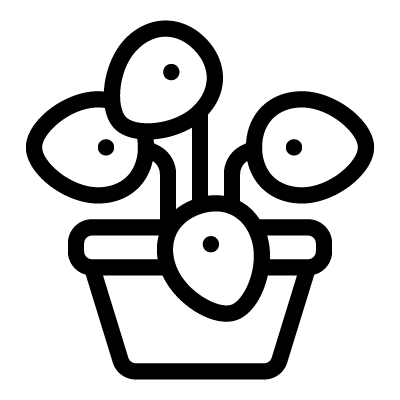 Pilea icon