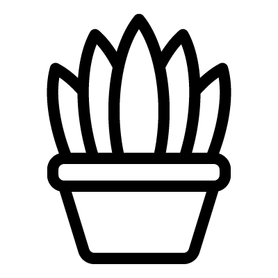 Sansevieria icon