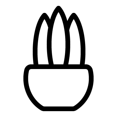 Sansevieria icon