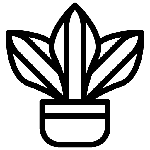 Sansevieria Trifasciata icon
